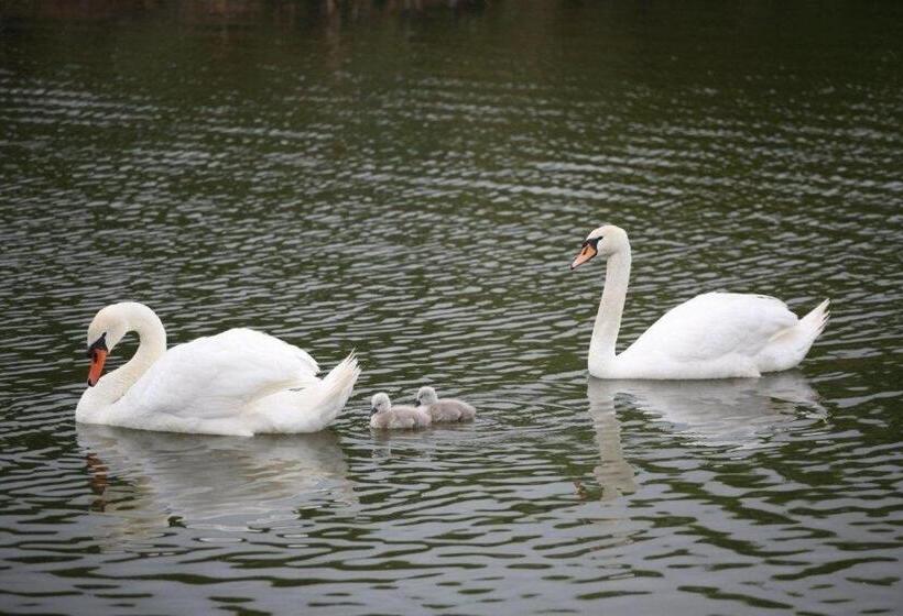 مبيت وإفطار Spillers Farm