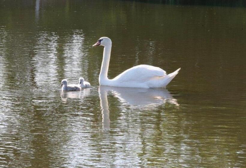 مبيت وإفطار Spillers Farm