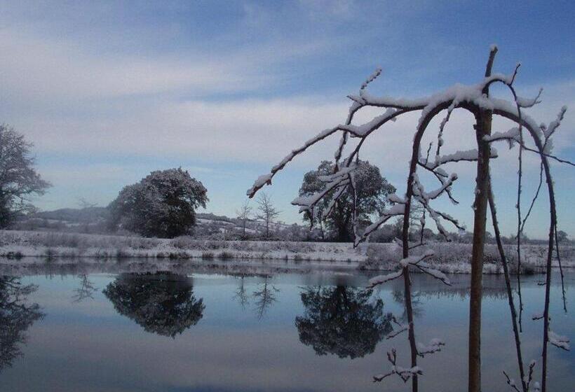 مبيت وإفطار Spillers Farm