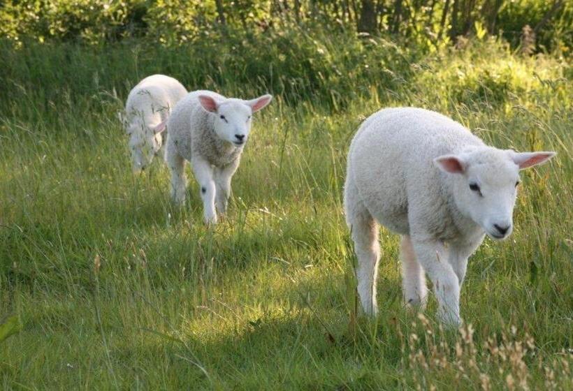 مبيت وإفطار Spillers Farm