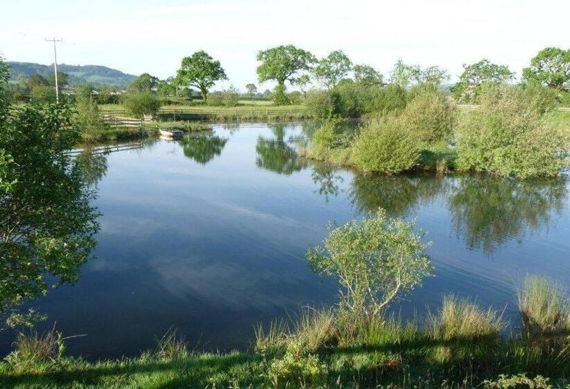 مبيت وإفطار Spillers Farm