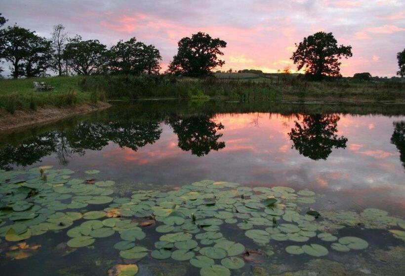 مبيت وإفطار Spillers Farm