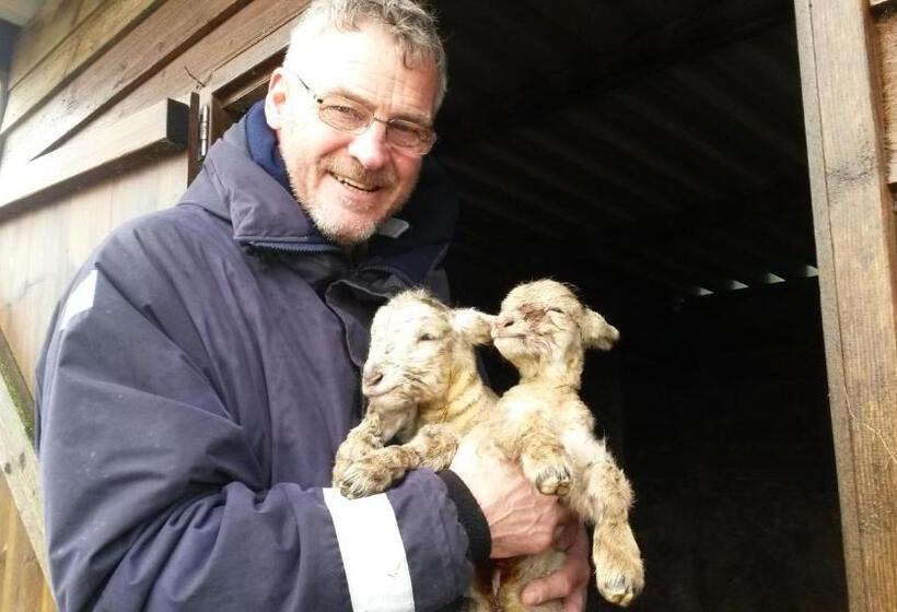 مبيت وإفطار Spillers Farm