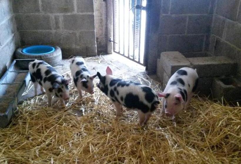 مبيت وإفطار Spillers Farm