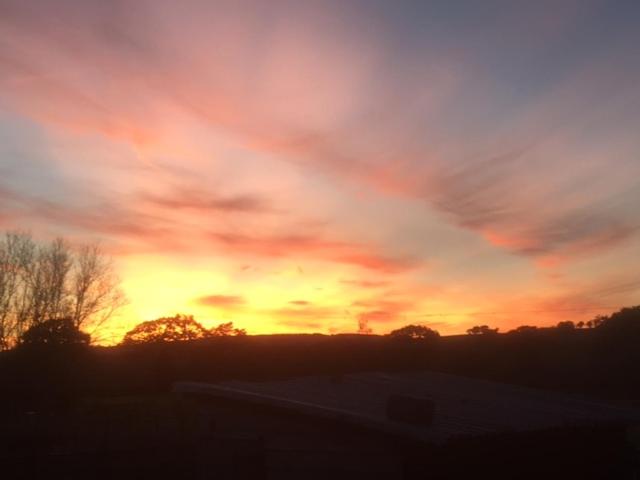 مبيت وإفطار Spillers Farm