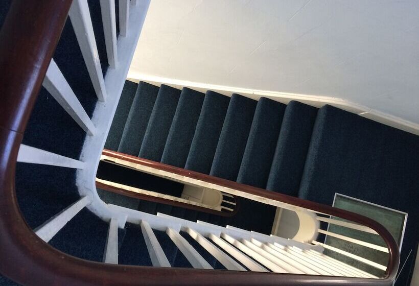 مبيت وإفطار Square Tree House