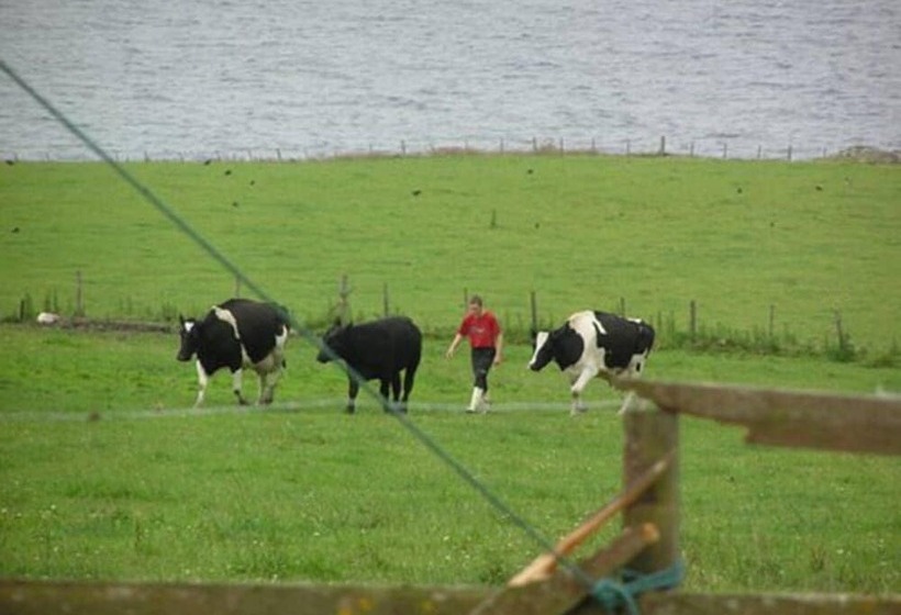 Bed and Breakfast The Antlers