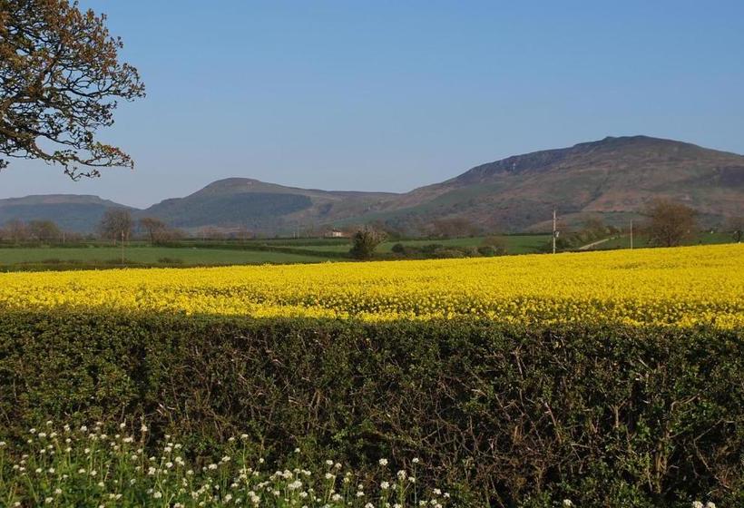 민박 Carlton Lodge