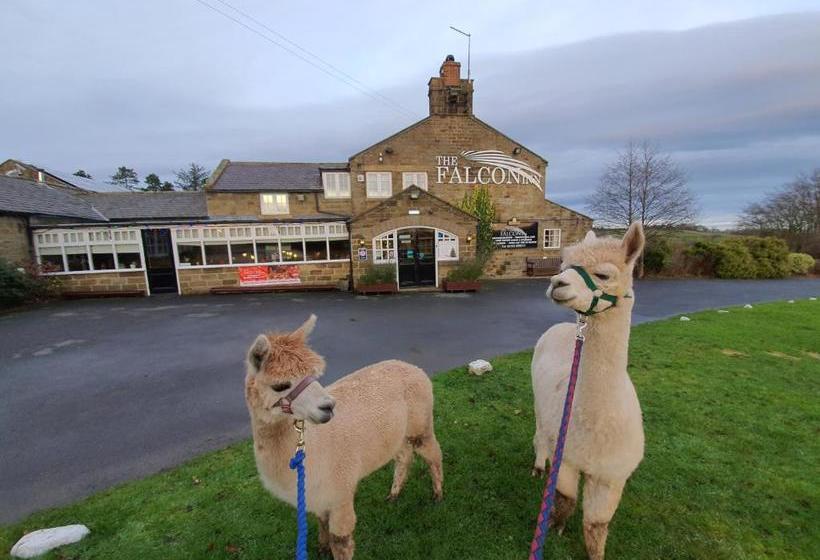 Bed and Breakfast The Falcon Inn