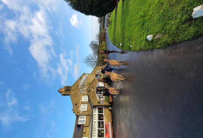 Bed and Breakfast The Falcon Inn