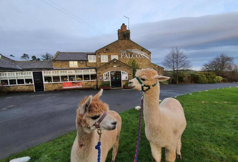 Bed and Breakfast The Falcon Inn
