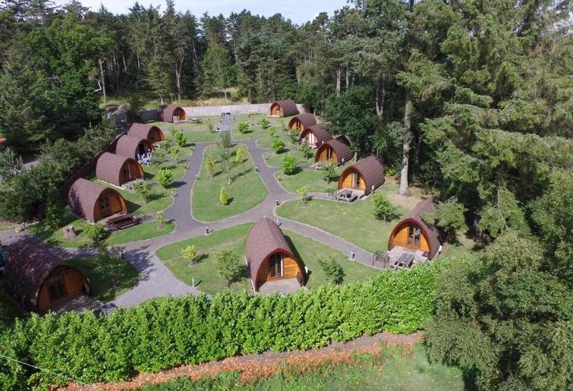 Bed and Breakfast The Falcon Inn