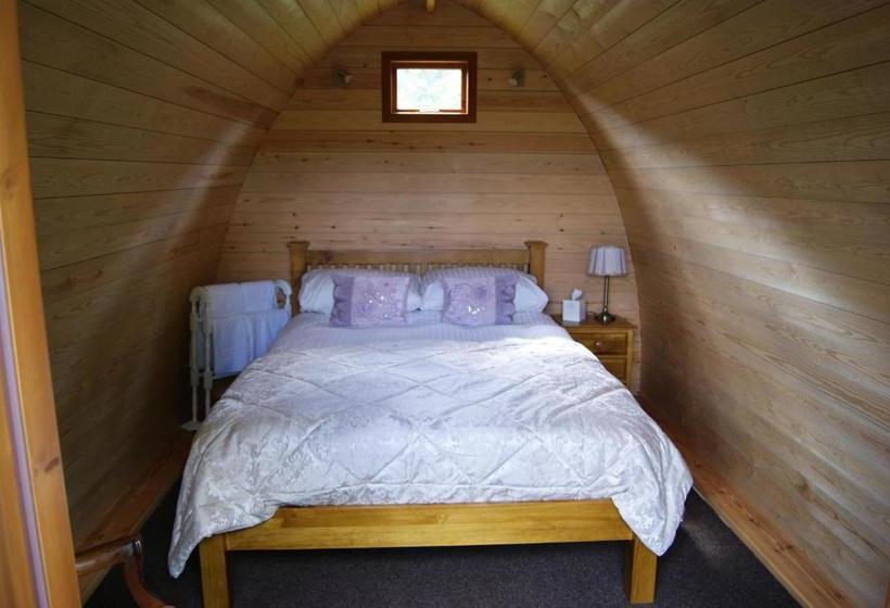 Bed and Breakfast The Falcon Inn