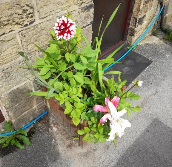 민박 The King S Head