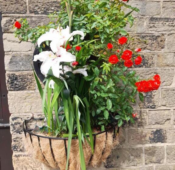 민박 The King S Head