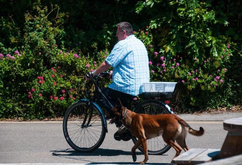 住宿加早餐  The Old Inn