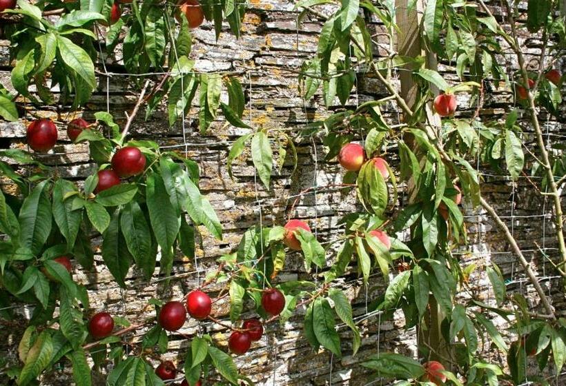 مبيت وإفطار The Old Rectory