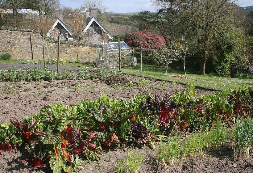 مبيت وإفطار The Old Rectory