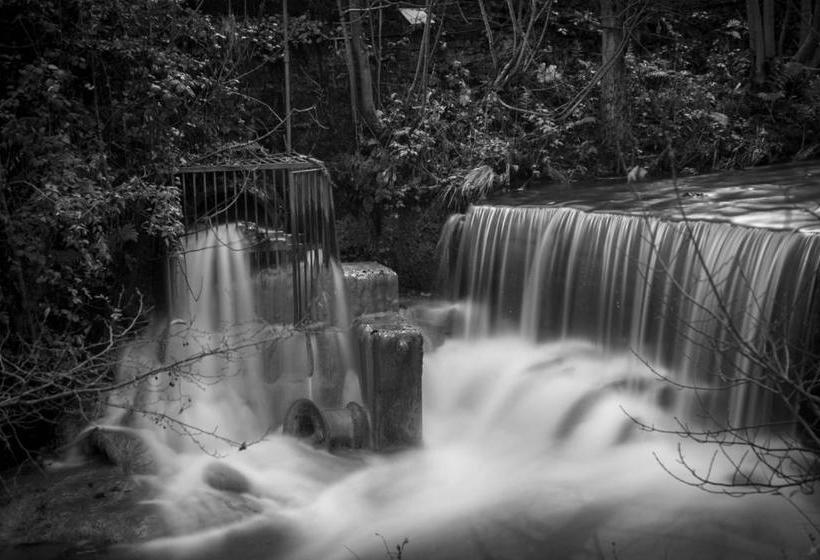 צימר The White Horse