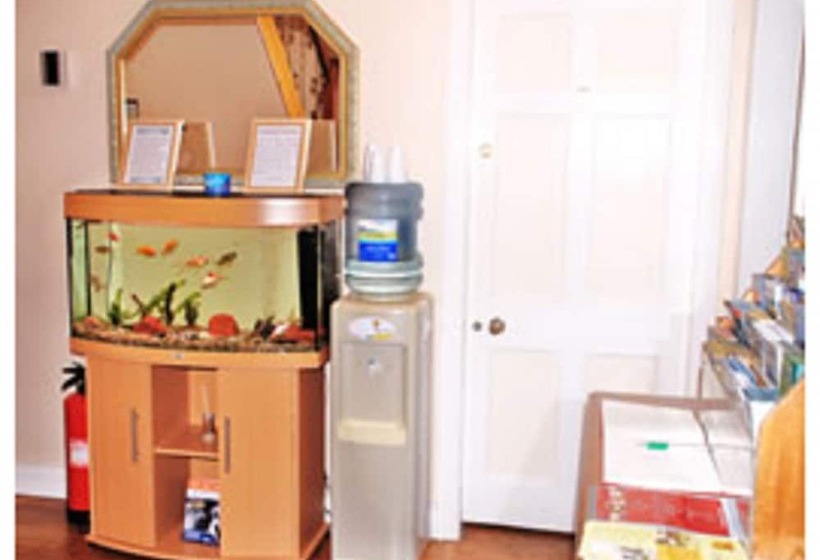 ベッドアンドブレックファースト The Willows   Room Only Accommodation