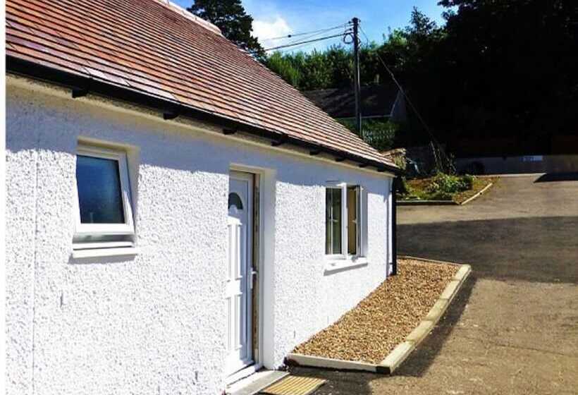 ベッドアンドブレックファースト The Willows   Room Only Accommodation