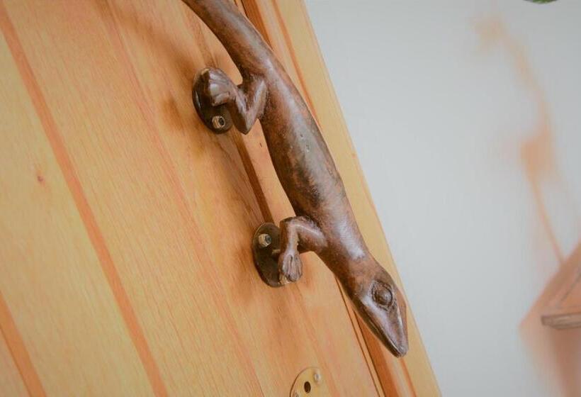 민박 Torcastle House