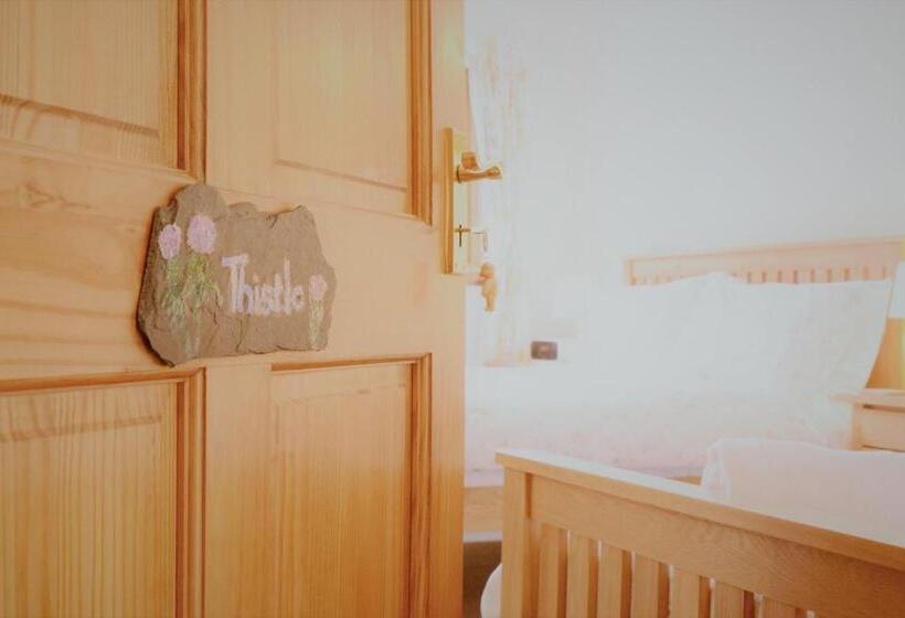 민박 Torcastle House