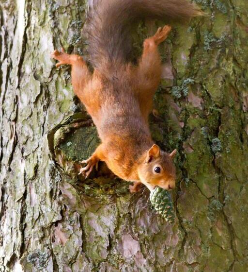 민박 Torcastle House