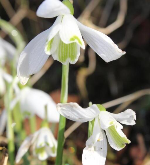 민박 Torcastle House