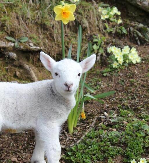 민박 Torcastle House