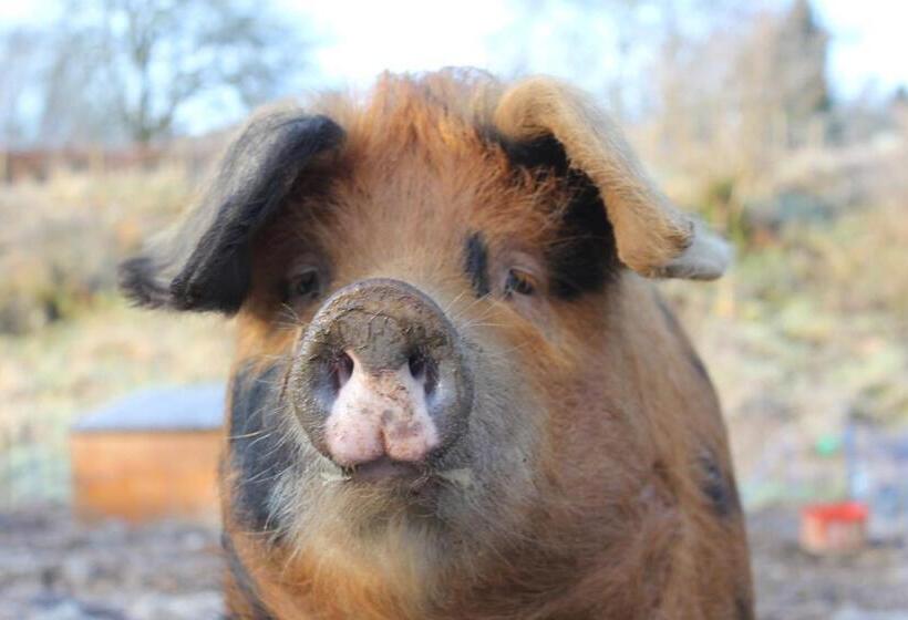 민박 Torcastle House