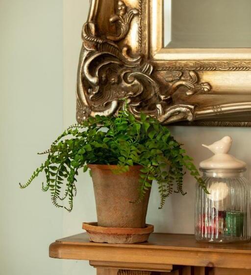 ベッドアンドブレックファースト Treherne House & The Malvern Retreat