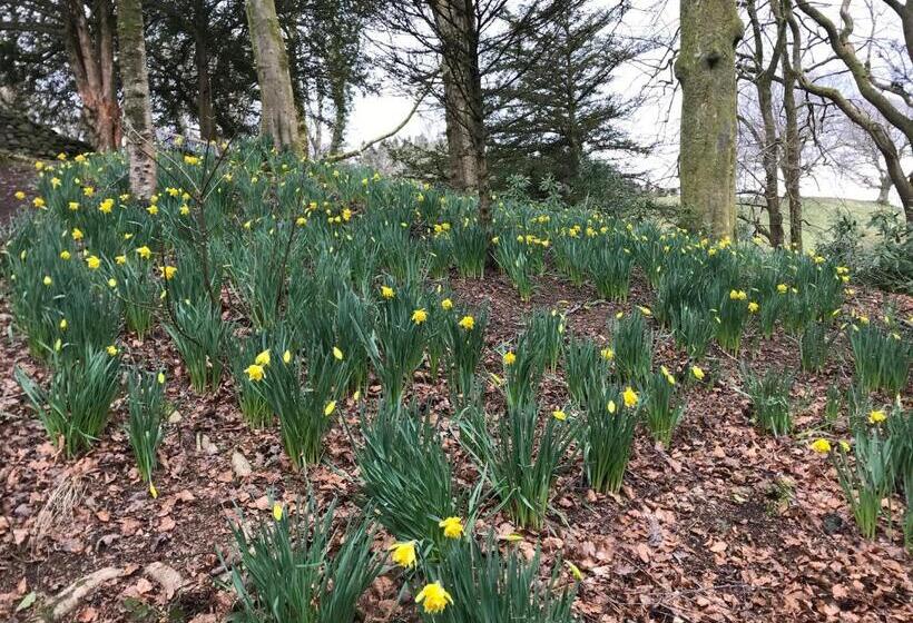 민박 Walker Ground Manor