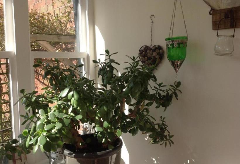 تختخواب و صبحانه Woodbine Guest Accommodation