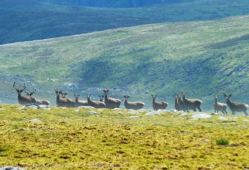 Braemar Youth Hostel