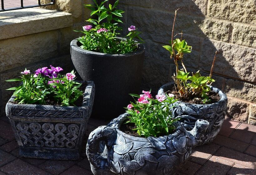 Castle Green Bed And Breakfast