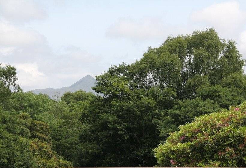 호텔 Aberdunant Hall