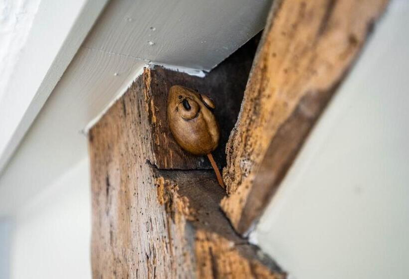 בית מלון כפרי Black Horse