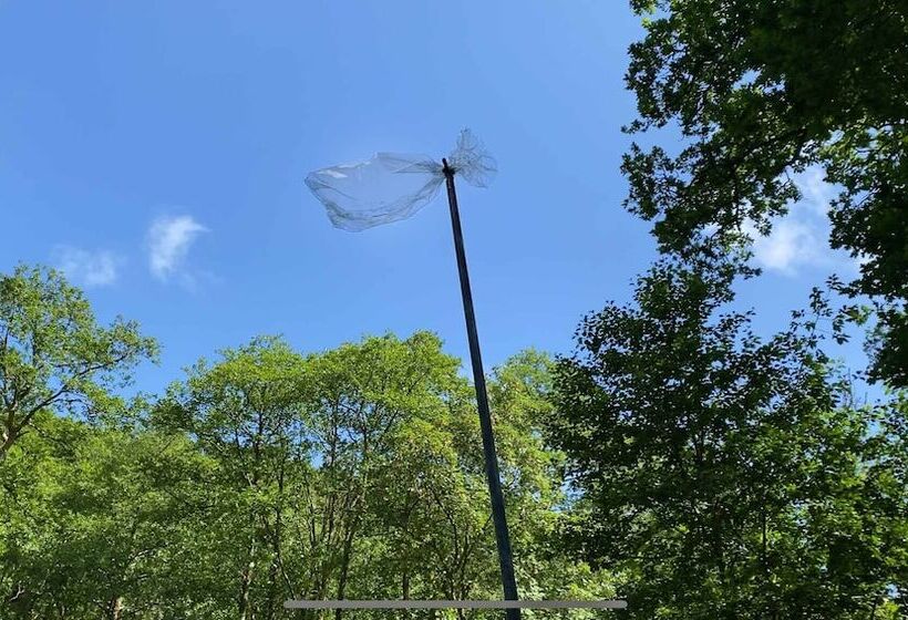 Отель Broomhill Estate