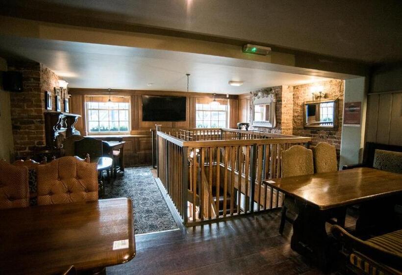 酒店 Lower Turks Head