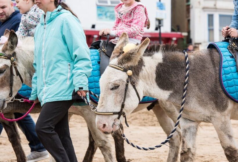 Отель The Esplanade