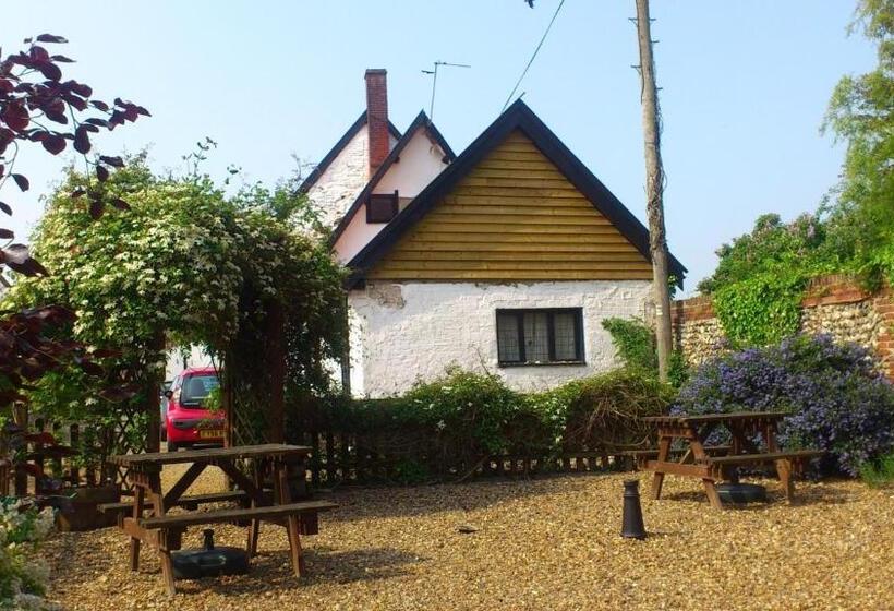 Отель The Griffin