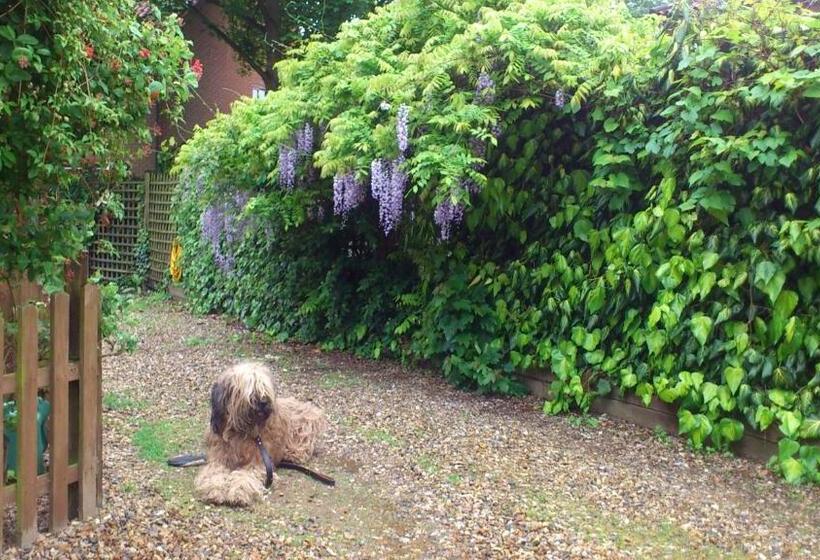 Отель The Griffin