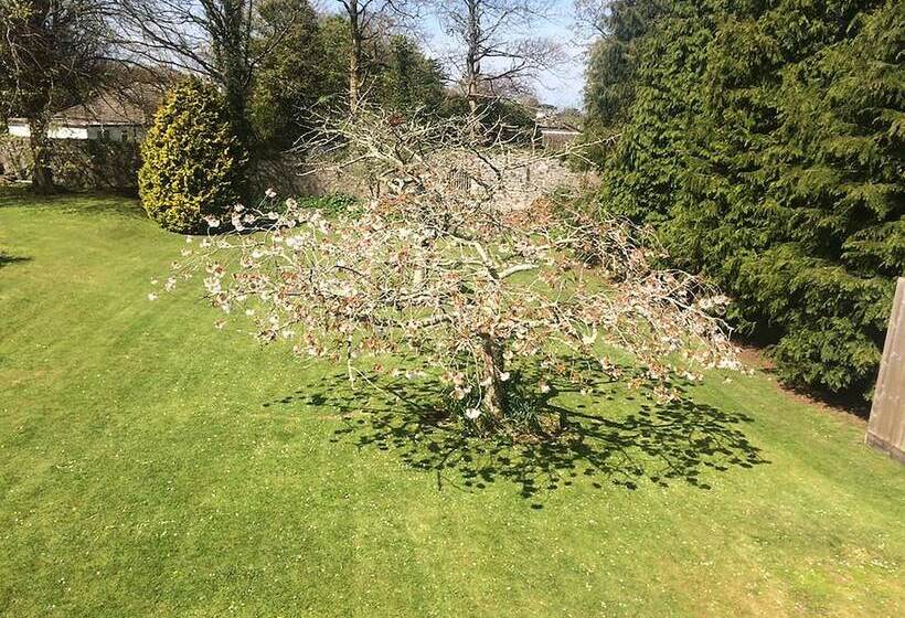 فندق The Lowenac