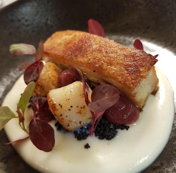 בית מלון כפרי Tufted Duck