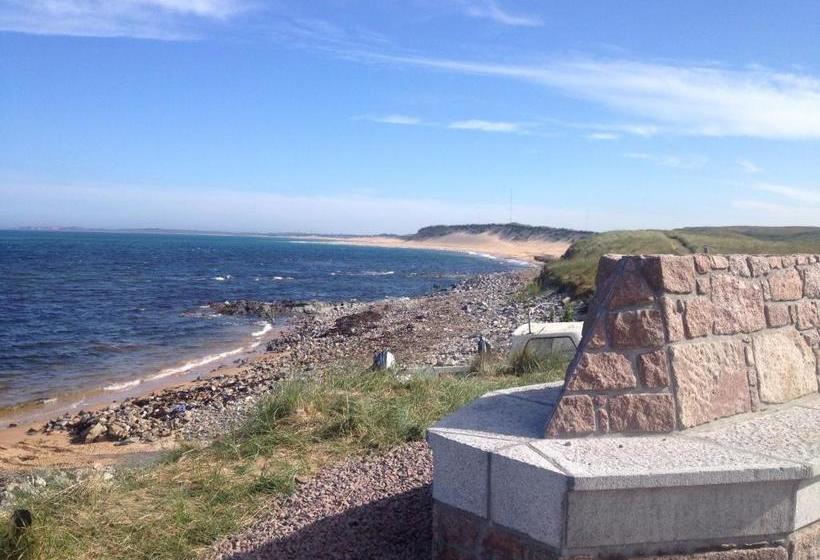 בית מלון כפרי Tufted Duck