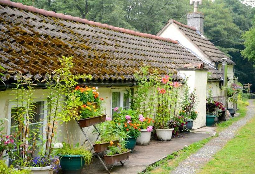 Ladywood House Bed And Breakfast