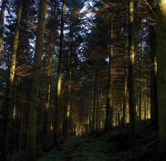 Middle Woodbatch B&b