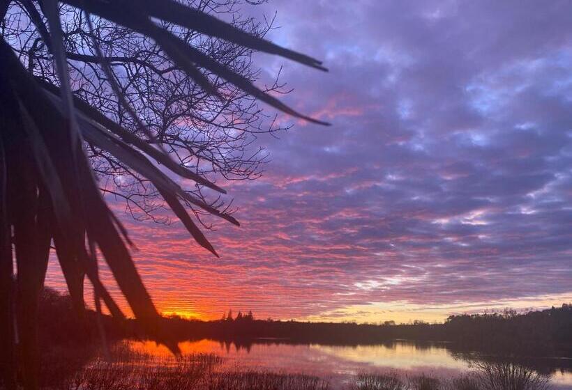 Motel The Inn On The Loch