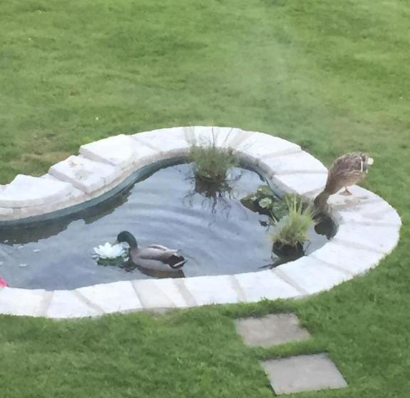 Oaklodge Bed And Breakfast